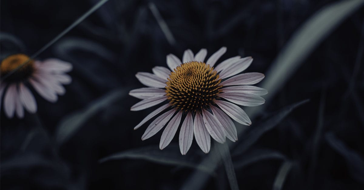 How to Get Mindful While Getting Dirty: 30 Minutes in Nature